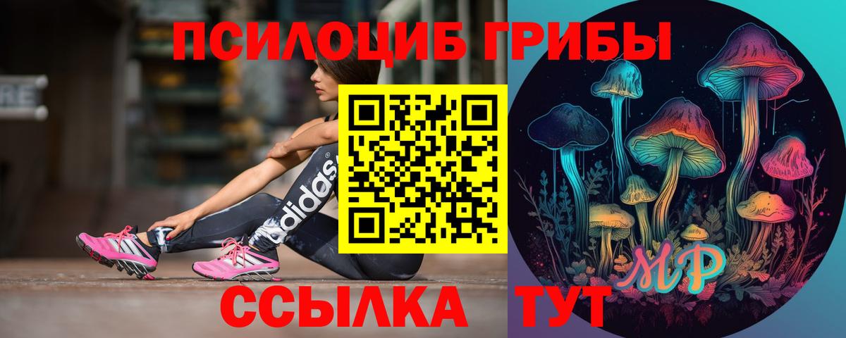Галлюциногенные грибы Cubensis Кореновск