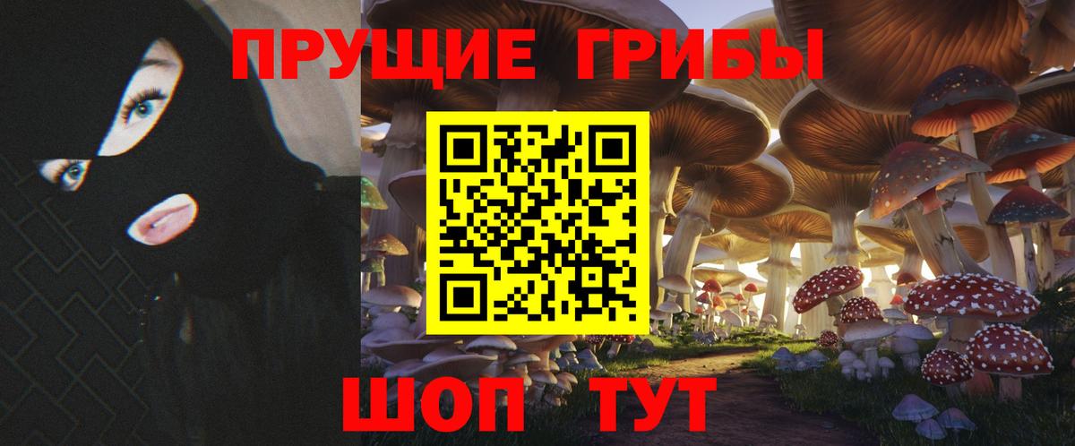 Псилоцибиновые грибы Cubensis  Вход с VPN  Кореновск  Псилоцибиновые грибы ЛСД 